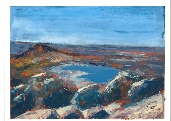 Image of Colour Study