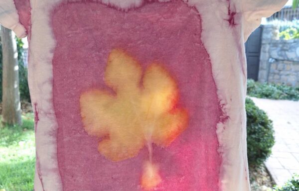 Natural Dyed & Ecoprinted Top