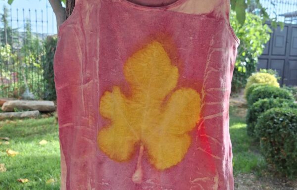 Natural Dyed & Ecoprinted Top